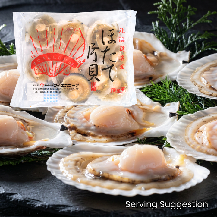 [ADL]Hotate Katagai 10pc