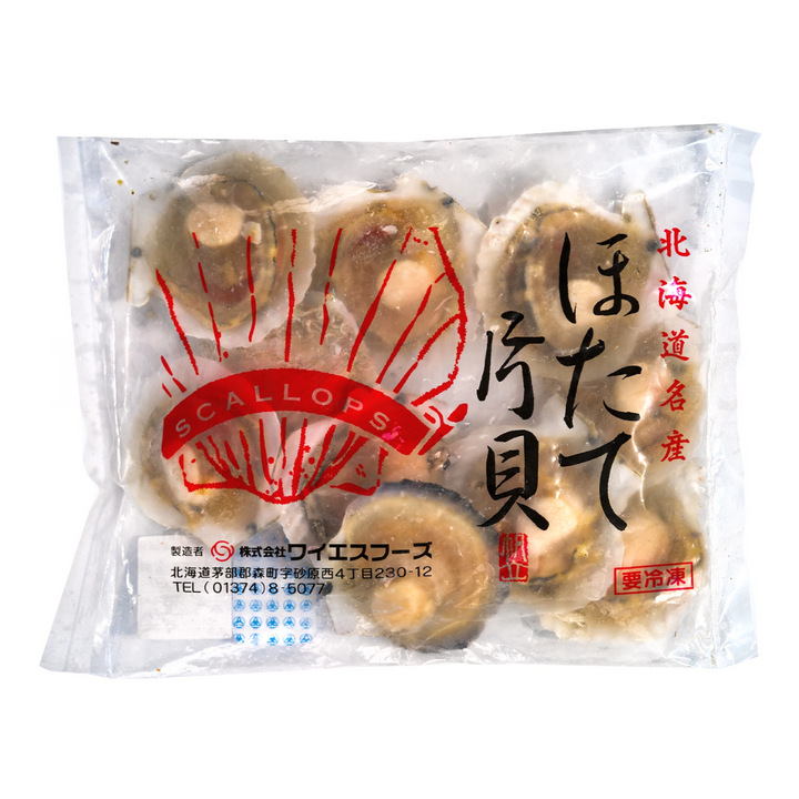 [ADL]Hotate Katagai 10pc