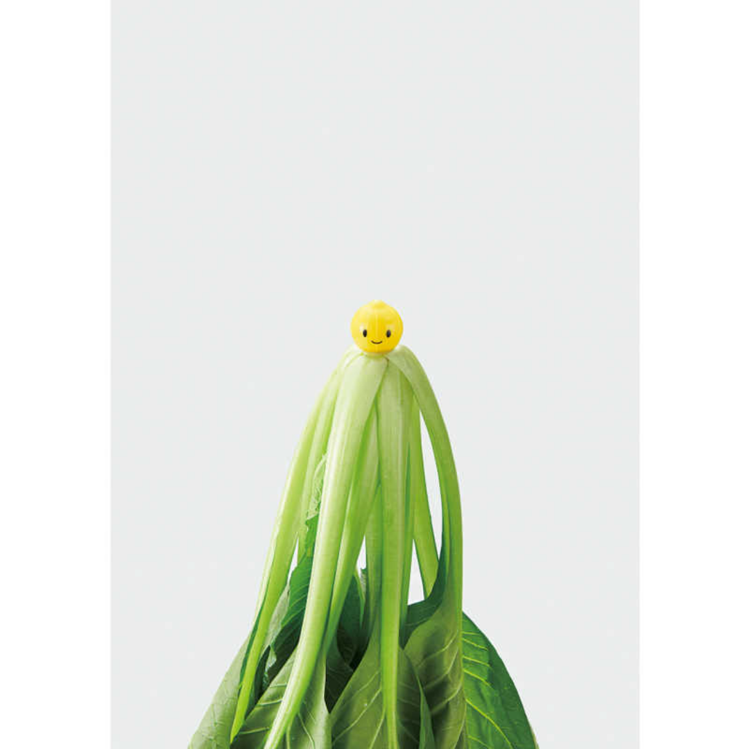 [SYD]Vegista Vegeshaki Fresh Vegetable Keeper Mini 3pc