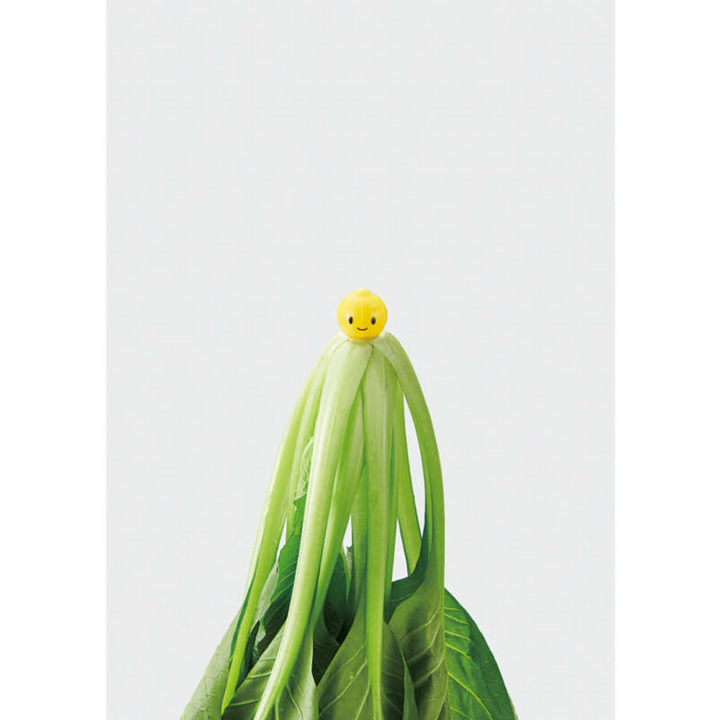 [SYD]Vegista Vegeshaki Fresh Vegetable Keeper Mini 3pc
