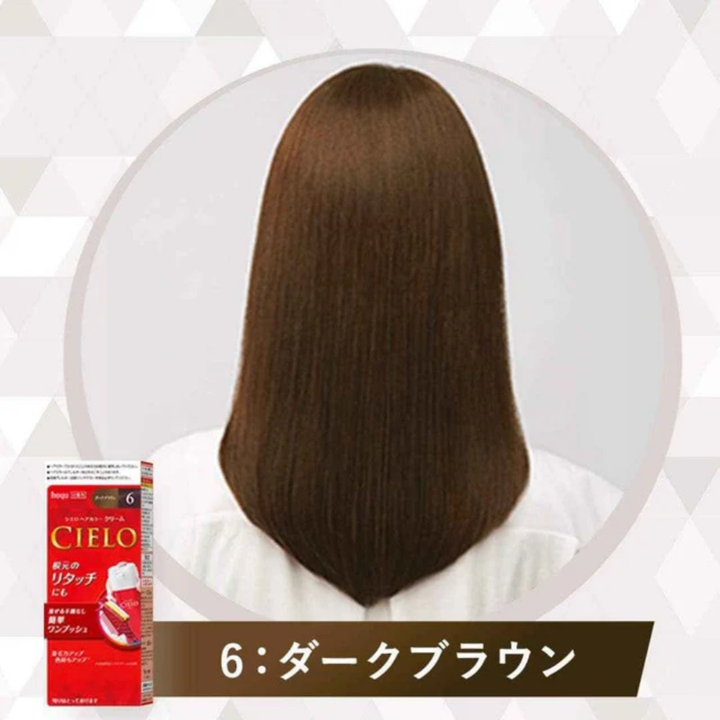 [SYD] HOYU CIELO Ex Hair Color Cream-6P 80g