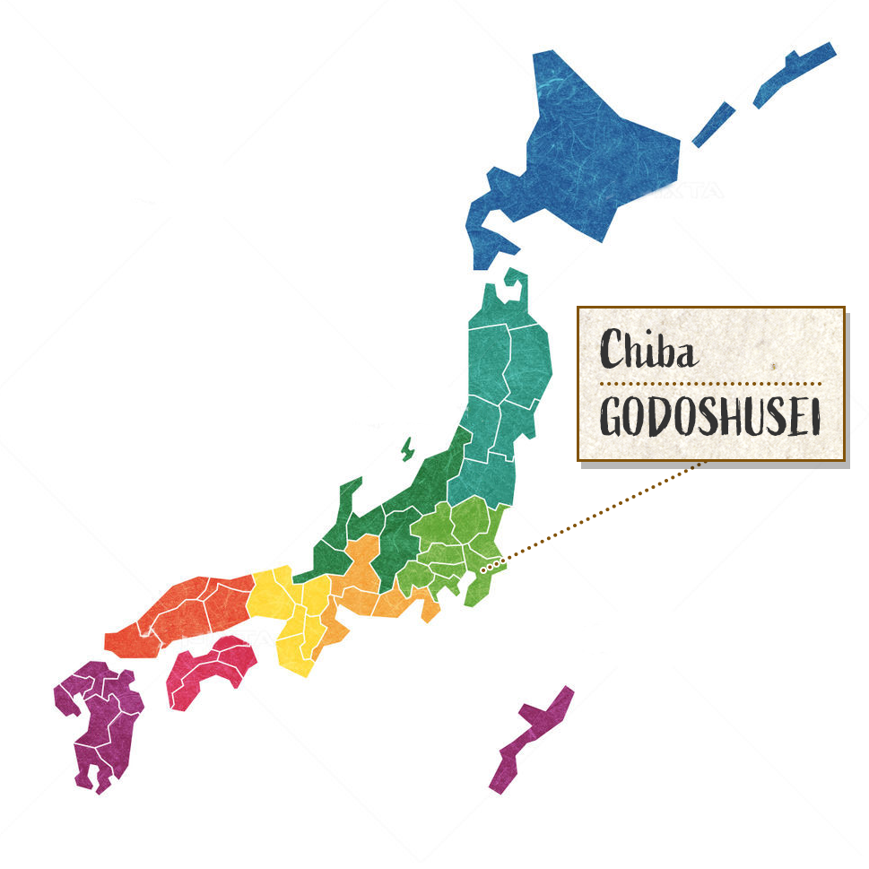 [SYD]GODO Oshukubai Umeshu-Decanter with Plum 720ml