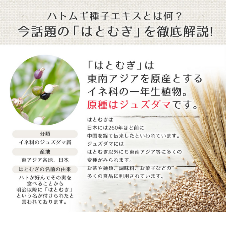 [SYD]HATOMUGI Toner 500ml